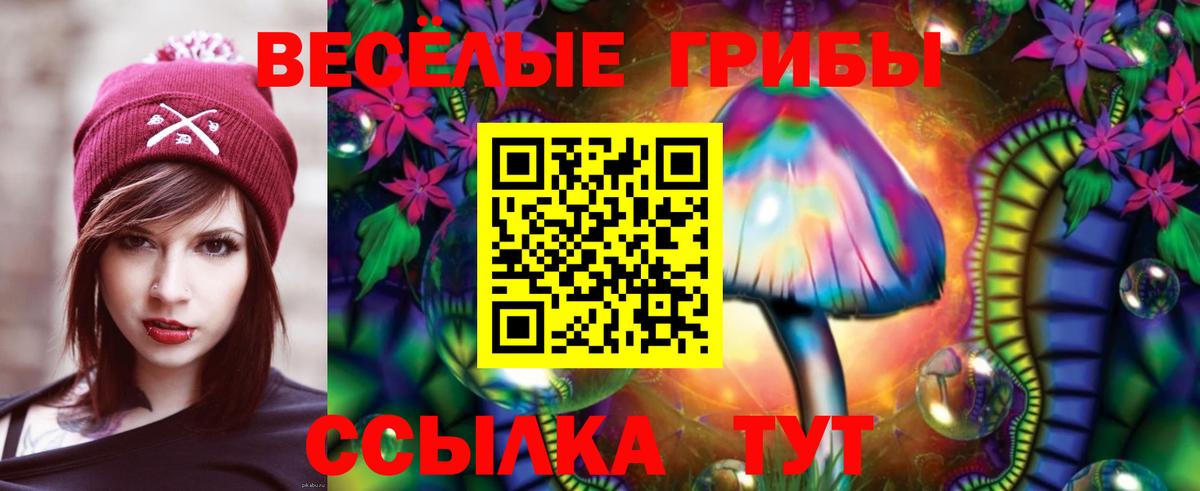 Белая Калитва  Псилоцибиновые грибы прущие грибы  Галлюциногенные грибы MAGIC MUSHROOMS  Вход с VPN 