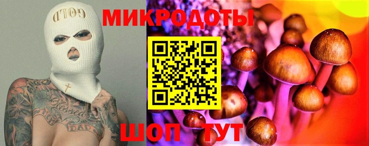 Псилоцибиновые грибы мицелий Белая Калитва